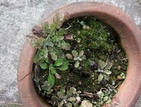 最新的格雷厄姆·格巫精彩语录