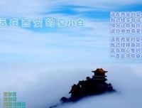 最新的《夏小白的刘思乱想》经典语句
