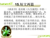 有关不求甚解的美文美句摘抄