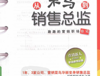 销售总监日记读后感精选