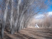 关于武侠梦的句子