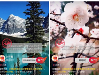 一个只会写段子没什么文采的人句子