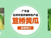 《钟于喜欢.》的句子