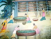 有关我的审美的句子