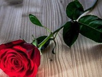 关于随笔的优美句子