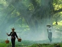 半生已过，学会沉默