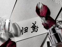 《这一年，我和我遇见的奇迹》读后感1000字