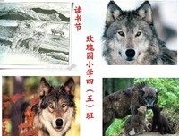 梦二画集·夏之卷读后感锦集