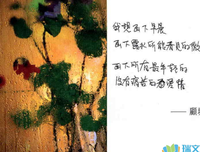 顾城·故城读后感100字