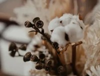 过了这么多年重阳节，今天才真正读懂了重阳节！