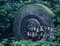 《谢谢你曾来过我的世界》的句子