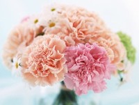 我来有师起物道九歌优美的句子