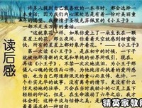 胡兰成全集·甲辑·政论卷读后感精选