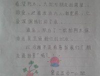 袋鼠蹦蹦·树精灵（王一梅暖心童话系列）读后感摘抄
