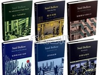 《赛姆勒先生的行星》读后感100字
