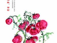 蔬之物语读后感1000字