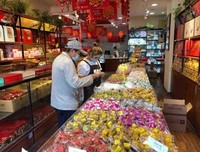 《民主中国如何选择》读后感精选