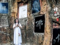 《禅心贯日月》读后感精选