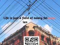 关于人生只若如初见的优美句子