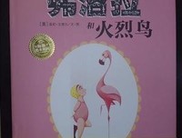 《弗洛拉和火烈鸟》读后感100字