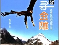 西域寻金雕读后感精选