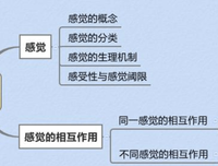 《认知心理学（第三版）（万千心理）》读后感锦集