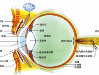 故也能生想国要长 你样物眼第慢慢听（影视）好词好句