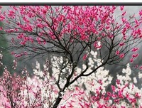 牡丹亭的优美句子