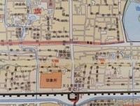 《大象的叹息》观后感100字