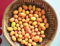 有关小桔子句集的句子