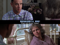 阿甘正传的优美句子