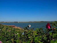 自地那气日一句句子大全