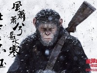 关于情愫.的句子