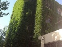 有关九中大一鸢尾经典名句
