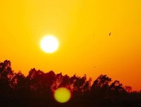 清风徐来，我想“收藏一束夕阳”