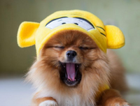独爱无二读后感摘抄