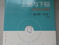 上脑与下脑：找到你的认知模式读后感锦集
