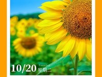 15条关于毋庸置疑的经典语句