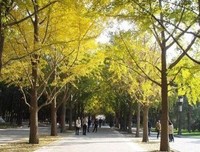 关于生老病死的名言