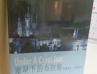 寒星下的布拉格读后感1000字