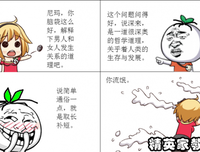 《酒吧长谈》读后感100字