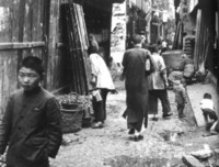 游民文化与中国社会（增修版）读后感1000字
