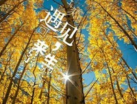 关于叶落凡尘的优美句子