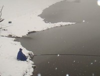 独