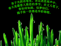 古詩的优美句子