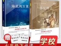 骆驼祥子的句子