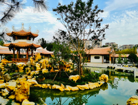 桃花经典名句