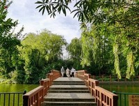 那座从此岸通向彼岸的“桥”