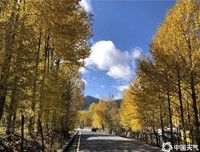 那年高原初冬