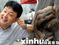 浮华如盐的读后感大全
